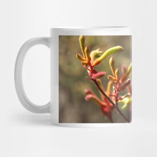 Kangaroo paw - Adelaide Hills - Fleurieu Peninsula - by South Australian artist Avril Thomas Mug